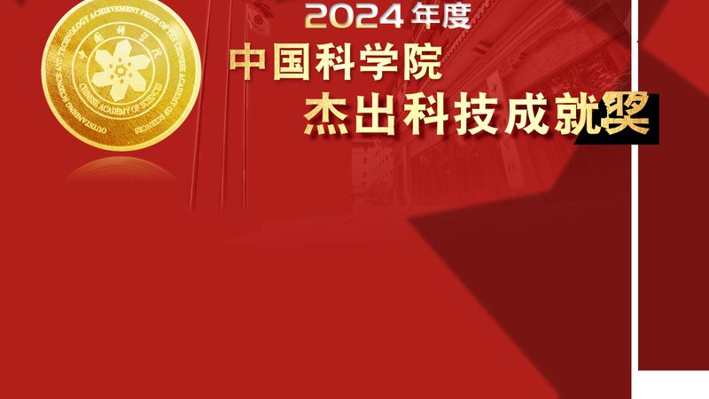 跨域配置定制开发服务：企业IT架构的灵活解决方案**